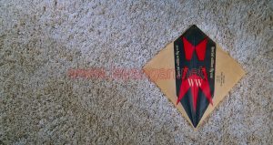 gelasan-layangan-super-aduan-cak-kin-pekalongan-1